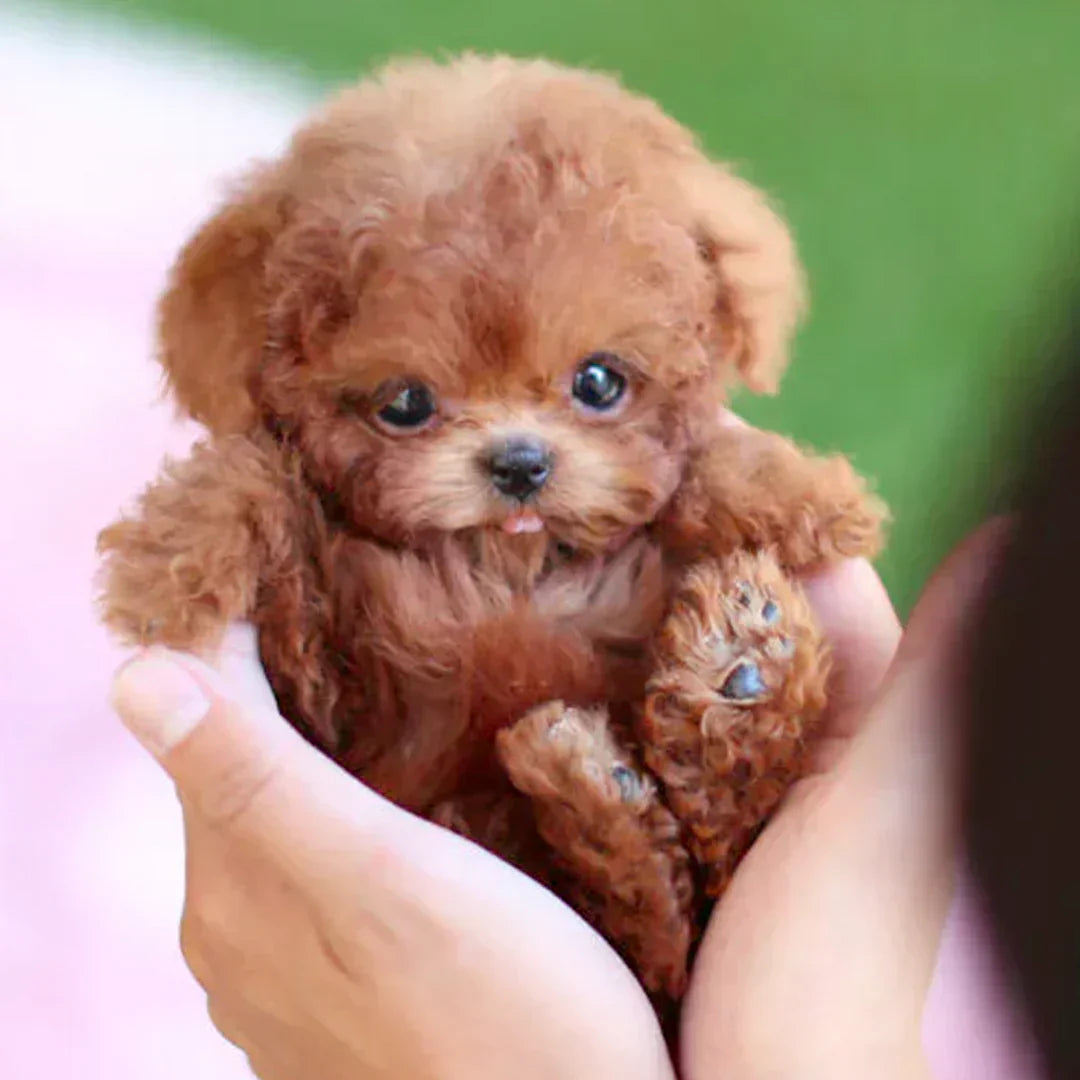 🐶🌭My Realistic Robot Puppy – Interactive Talking Pet Dog with Voice Control, Tricks & LED Eyes
